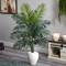 5.5ft. Paradise Artificial Palm Tree in White Planter